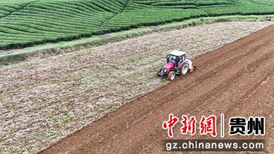 油菜直播机在田间播种。陈昆 摄 油菜直播机在田间播种。陈昆 摄