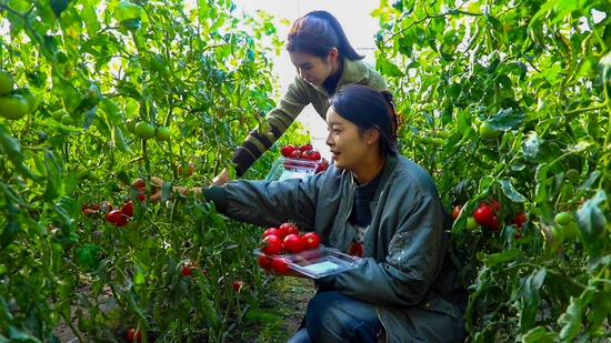 d5c05da4ec60fc9bccc6ac680c551a2d