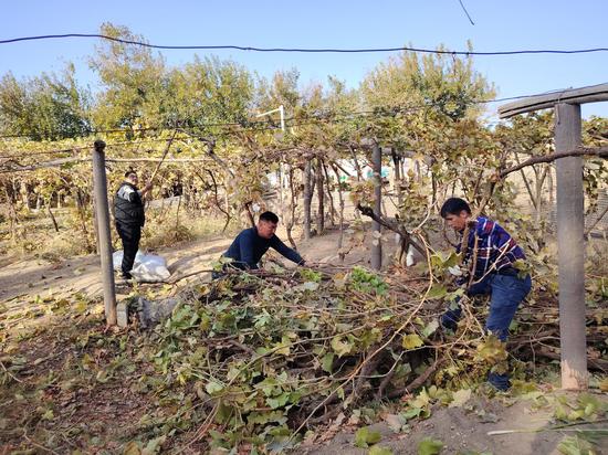 ddc356d56873b5ea149db30e26c7c467