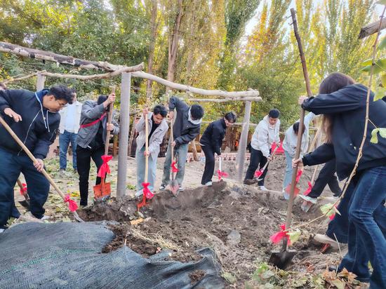 87bff41b3a248bb21461ea2287667ff7