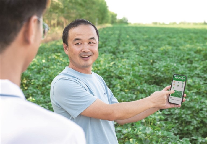 8月3日,呼图壁县大丰镇红柳塘村,种植户借助智能水肥一体化设备,通过手机操作完成棉花的浇水与施肥工作。 8月3日,呼图壁县大丰镇红柳塘村,种植户借助智能水肥一体化设备,通过手机操作完成棉花的浇水与施肥工作。