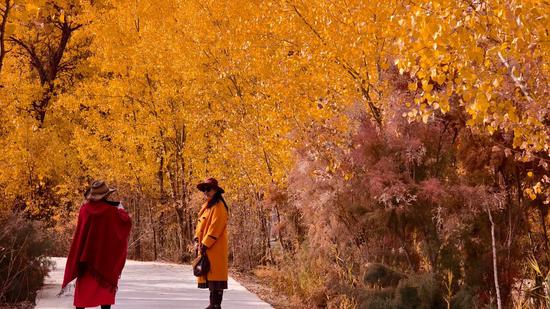 1fff50d6091f7eedd65f4dc751dc097d