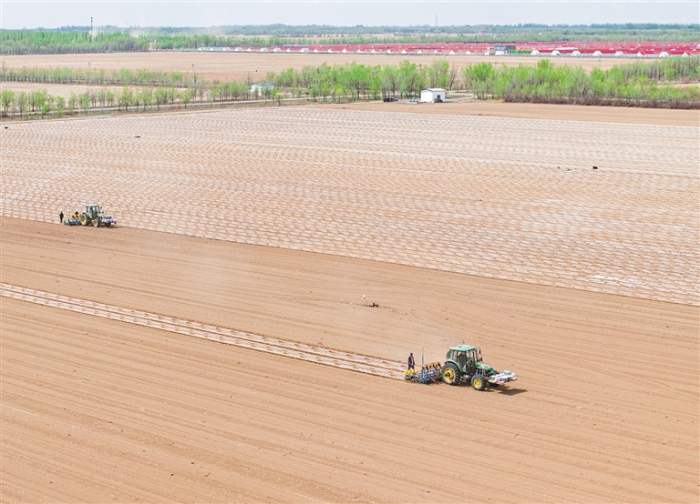 4月28日,昌吉国家农业高新技术产业示范区智慧农场,种植户在用北斗卫星导航无人驾驶拖拉机播种棉花。 4月28日,昌吉国家农业高新技术产业示范区智慧农场,种植户在用北斗卫星导航无人驾驶拖拉机播种棉花。
