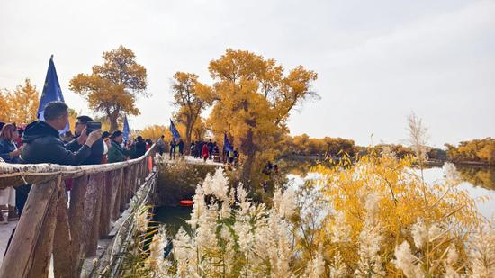 d8ee3cdbd5dac9c1db920fefe8a6ea76