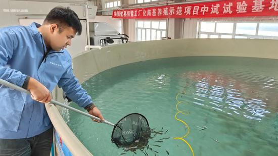 f14b5d40099e15e522d776abe423b1ae