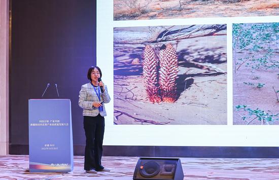 北京大学教授姜勇作主旨演讲。许晓龙 摄