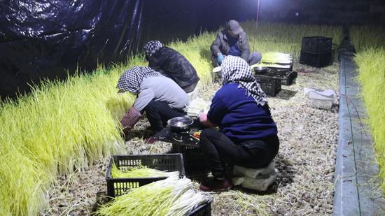 f2d317824d5e7c853582fafde5a50400