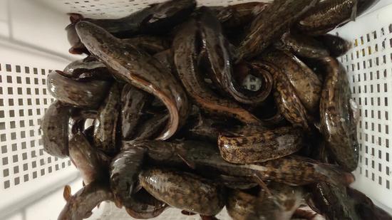 a1abe9285af1d122412a445883921009