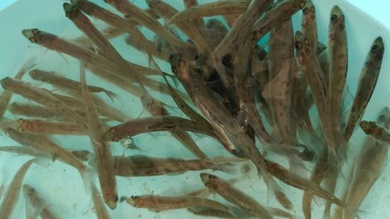 1d4cfdf19d0e0b14f213a8932b9d7307