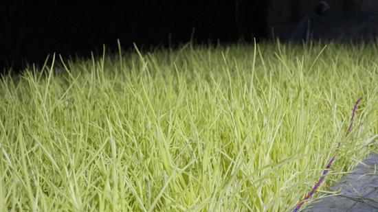 bdcdefae4cd0e05b75fec791c38a56e6