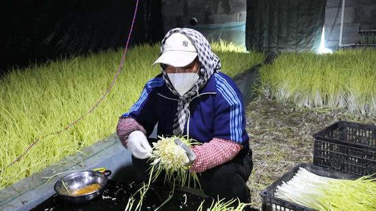 5c8e17bec34874c96cb7efb4d77087cb