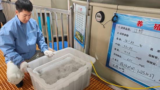 c59808b95861b6bbd1e8f47748386dd9