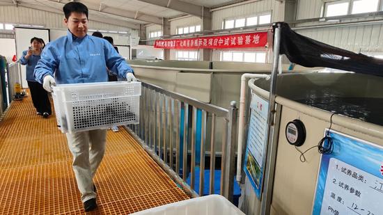 fd12ce6d932ba5b0ca2b8ecb95725a74