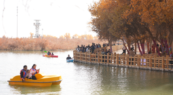 游客在胡杨林划船。