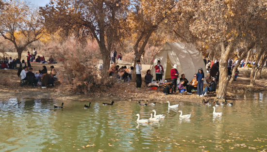 各族群众在洛浦胡杨林享受惬意的休闲时光5