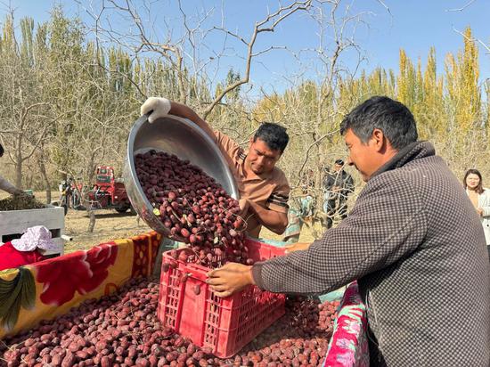 6df5821d7404ef61d84c10530d9b75b8