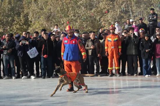 消防员带着搜救犬展示技能。通讯员 王雪莲 摄