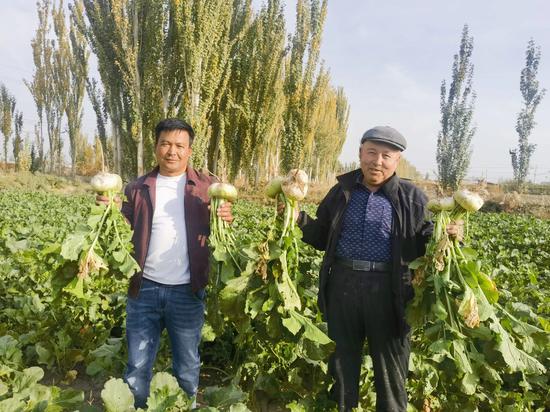 df5692b0768eaae76dced491e30602fd