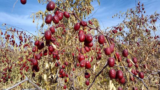 046a18796b94bd8257ae3811c814518d