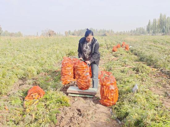 5dbad04afccf867b235341e7c1ff0848