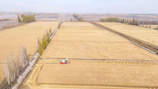 ebbb416095369df5b944d7e945be35dd