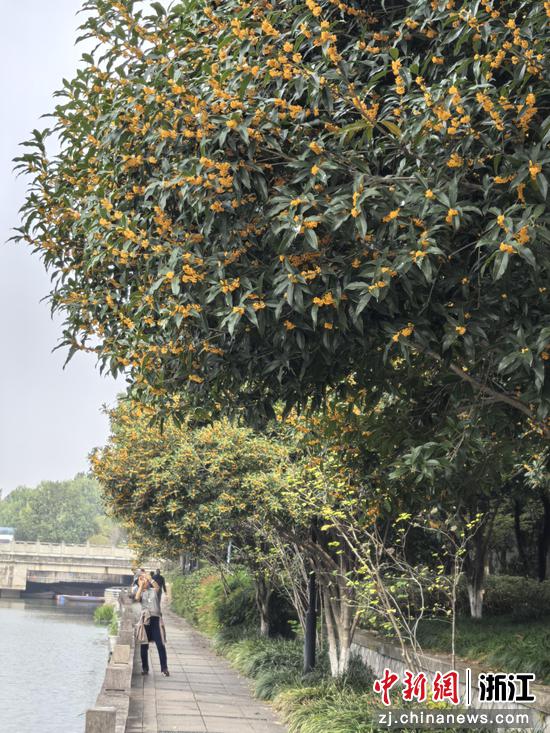 正午时分 阳光正好 观赏者络绎不绝 作者供图