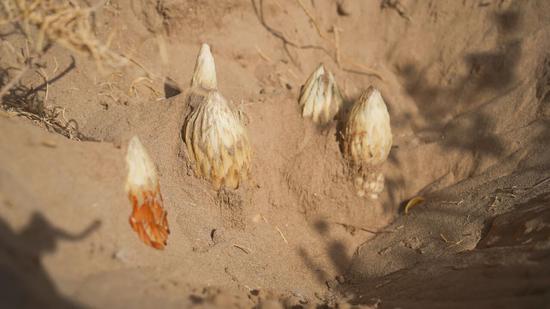 dc02fc457289ab8ecf1ef42ebe1975c6