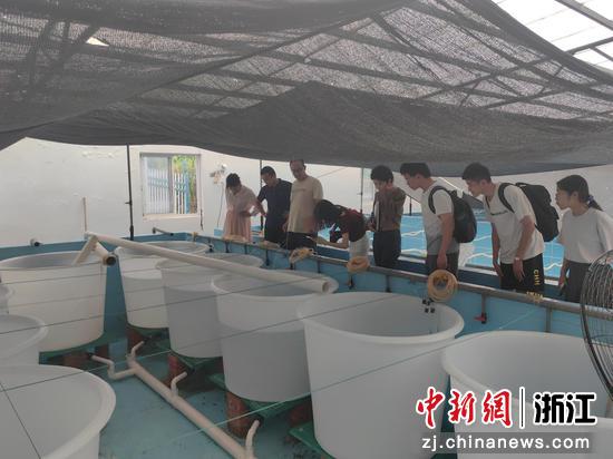 胡求光团队成员在实验室研讨海洋样品。(资料图,宁波大学东海研究院供图) 胡求光团队成员在实验室研讨海洋样品。(资料图,宁波大学东海研究院供图)