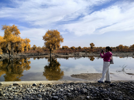 daf908ce1cd95c7f44afc8ca66d83635