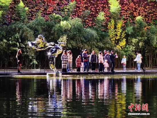 天津：市民周末打卡学府秋韵