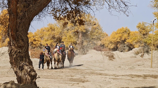 1b31085bf4d85567ad5d69fd56a357ea