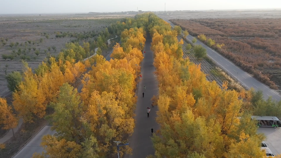 7da553f3f6a4af0b29c95c92a49dd4d3