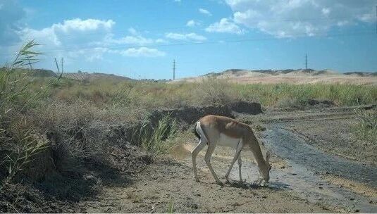 a30536be7ece9477d5aaebd61fb1a1b4