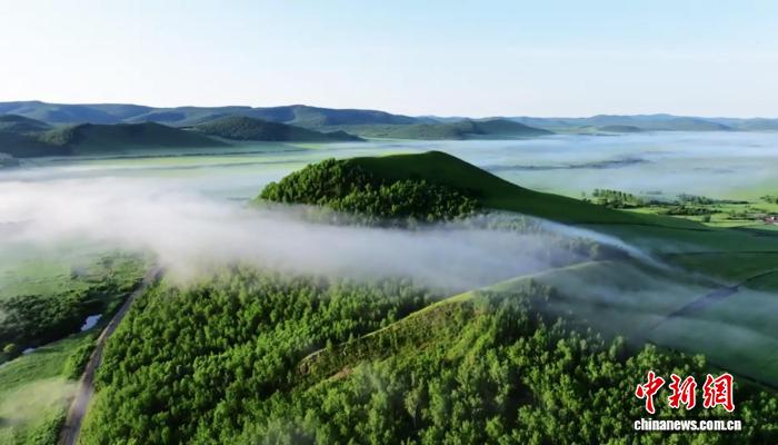 访森林里的女“医生”：与花蝶共舞 和森林做伴