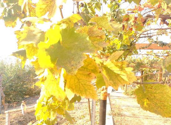 c9f886b367fa797196c79d9e132673ac