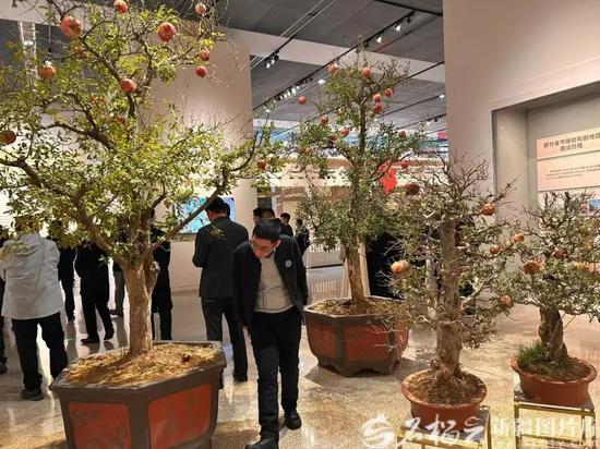 “万方乐奏有于阗——新疆和田地区非物质文化遗产展”现场，观众正在参观。石榴云/新疆日报记者 阿比拜摄