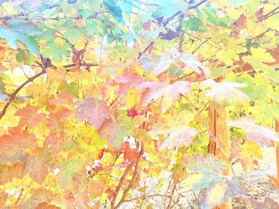 59ab11e6c096770e850367bf950e8e73