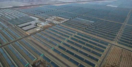 新疆盛世华强农业科技有限公司集中连片的设施农业大棚。（航拍图）