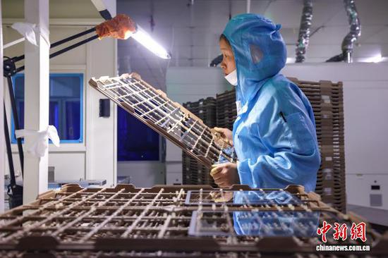 贵州新蒲新区：视窗触控玻璃面板订单生产忙