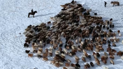 新疆和布克赛尔：忠诚护佑转场路 藏蓝情暖赛尔冬