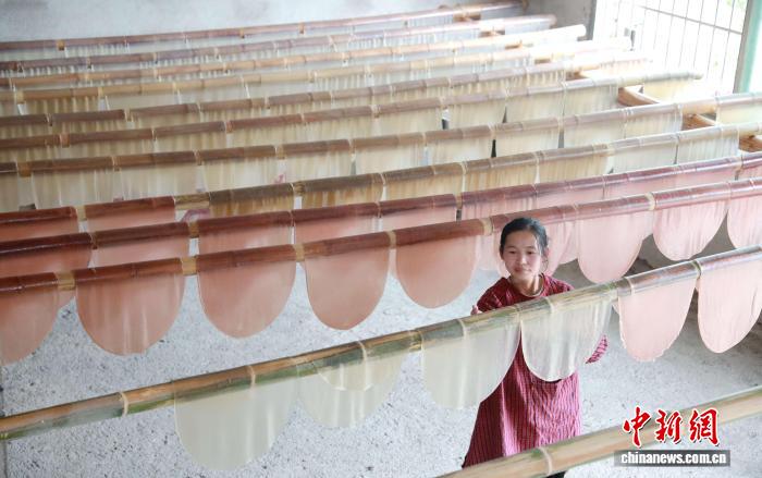 广西三江侗乡：立冬将至薯粉香