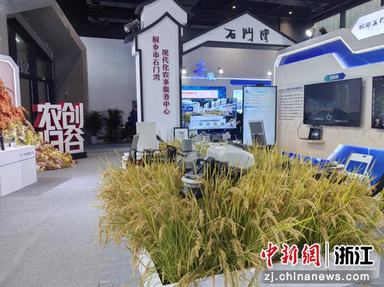 展会现场,桐乡展示石门农业新质生产力。主办方供图 展会现场,桐乡展示石门农业新质生产力。主办方供图