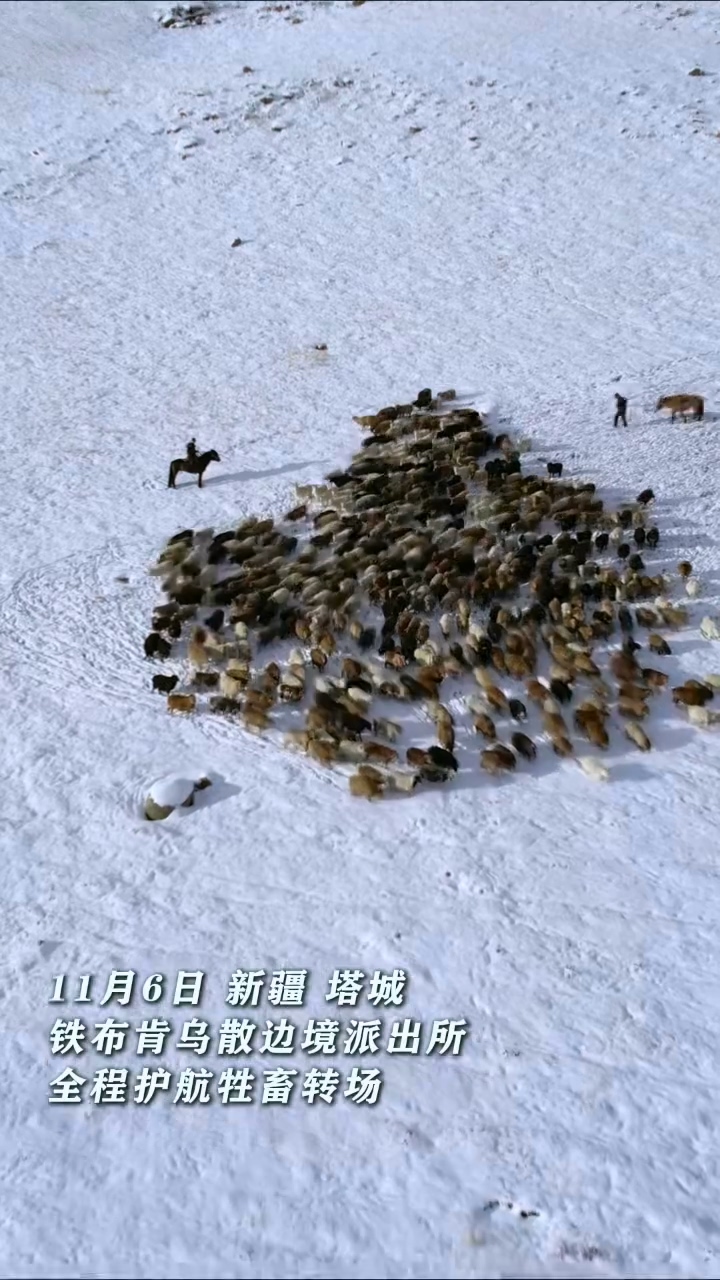 新疆和布克赛尔：忠诚护佑转场路 藏蓝情暖赛尔冬