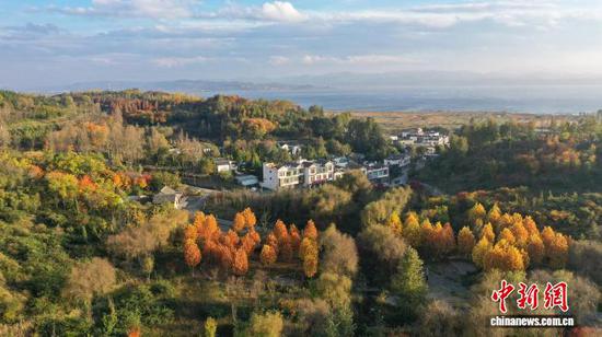 图为11月7日航拍草海北坡生态公园景色。岳刚 摄 图为11月7日航拍草海北坡生态公园景色。岳刚 摄