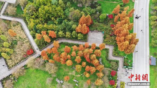 图为11月7日航拍草海北坡生态公园景色。岳刚 摄 图为11月7日航拍草海北坡生态公园景色。岳刚 摄