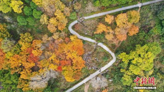 图为11月7日航拍草海北坡生态公园景色。岳刚 摄 图为11月7日航拍草海北坡生态公园景色。岳刚 摄