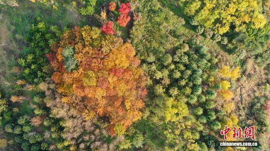 图为11月7日航拍草海北坡生态公园景色。赵庆能 摄 图为11月7日航拍草海北坡生态公园景色。赵庆能 摄