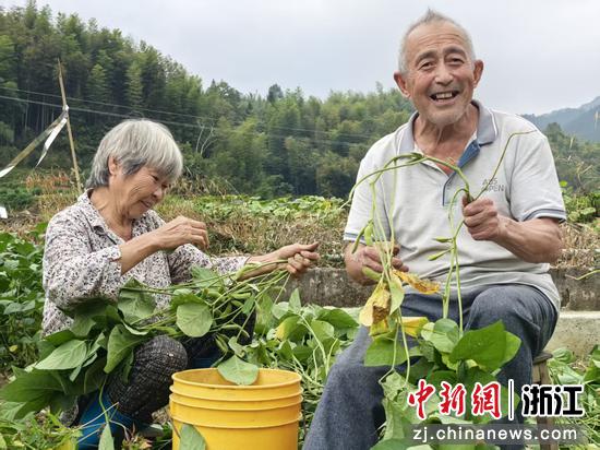 当地村民实现家门口增收。淳安县委宣传部供图 当地村民实现家门口增收。淳安县委宣传部供图