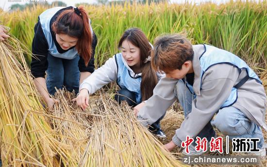 2025年“大云秋日·乡约趣玩”农耕月系列活动现场。主办方供图 2025年“大云秋日·乡约趣玩”农耕月系列活动现场。主办方供图