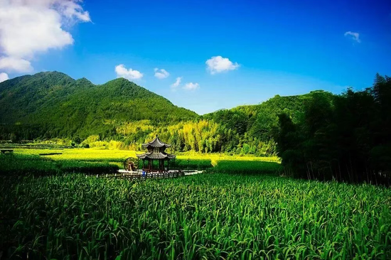 ▲景宁景南风景。图源：景宁融媒